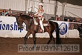 09yn-12619 proof