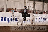 09yn-12622 proof