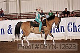 09yn-12623 proof