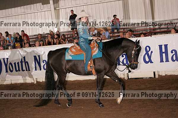 Proof 09yn-12625