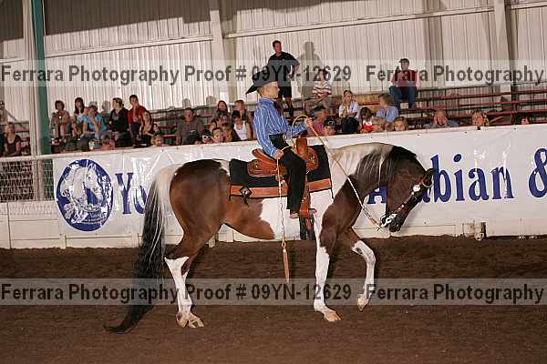 Proof 09yn-12629