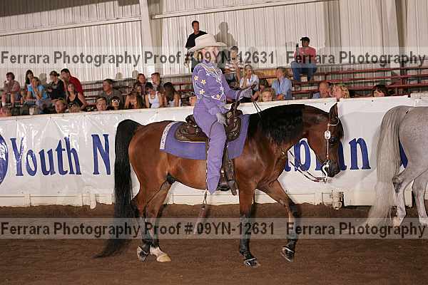 Proof 09yn-12631