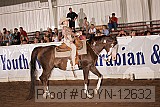 09yn-12632 proof