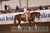09yn-12636 proof