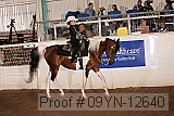 09yn-12640 proof