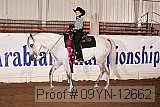 09yn-12662 proof