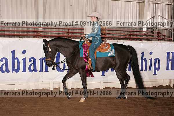 Proof 09yn-12666