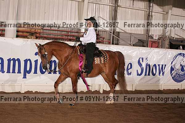 Proof 09yn-12667