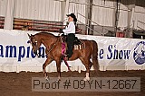 09yn-12667 proof