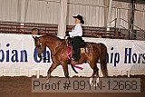 09yn-12668 proof