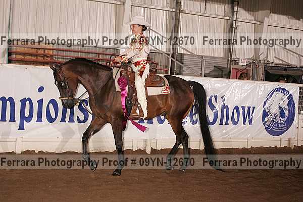 Proof 09yn-12670