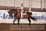 09yn-12671 proof