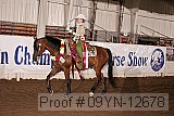 09yn-12678 proof