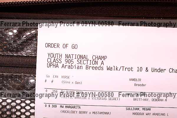 Proof 09yn-00580