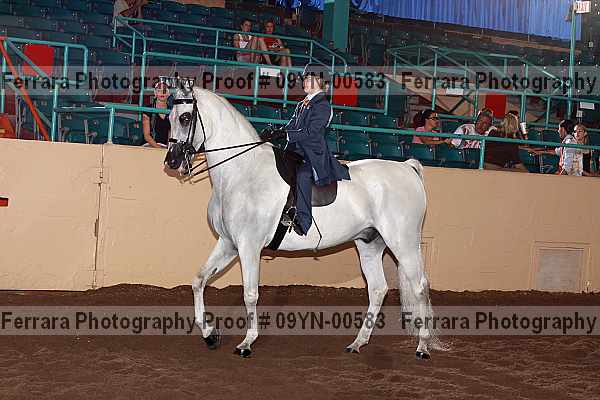 Proof 09yn-00583