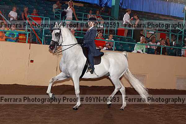 Proof 09yn-00593