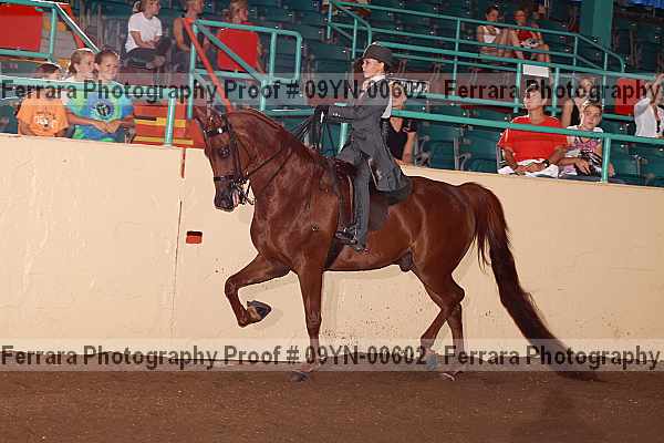 Proof 09yn-00602