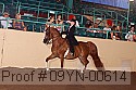 09yn-00614 proof