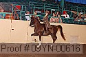 09yn-00616 proof