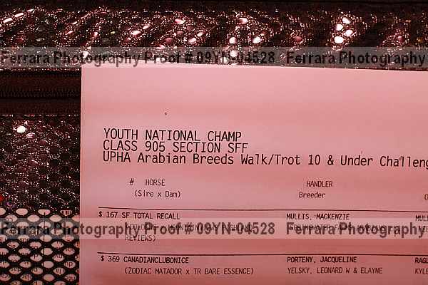 Proof 09yn-04528