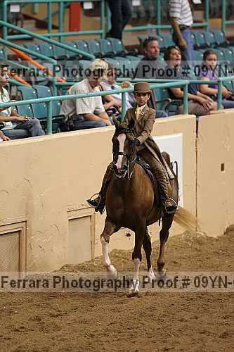 Proof 09yn-04547