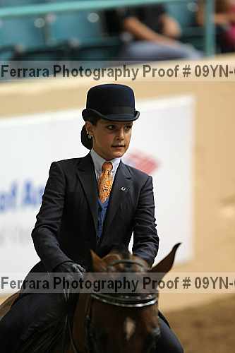Proof 09yn-04553