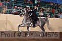 09yn-04575 proof