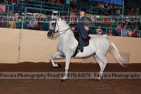 Proof 09yn-04576