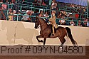 09yn-04580 proof