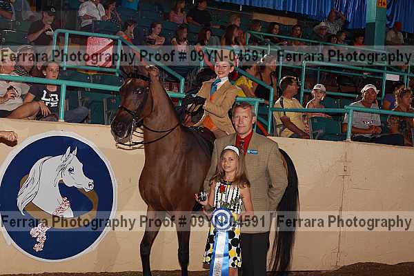 Proof 09yn-04591
