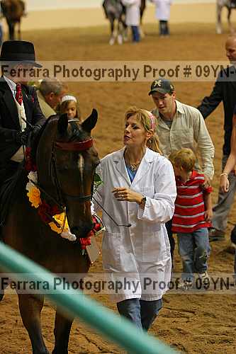 Proof 09yn-04605