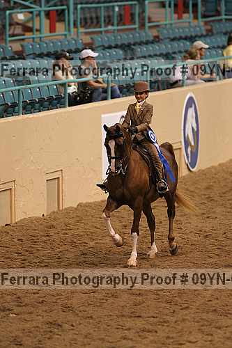Proof 09yn-04615