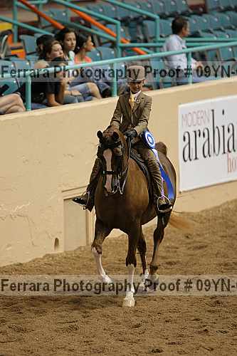 Proof 09yn-04618