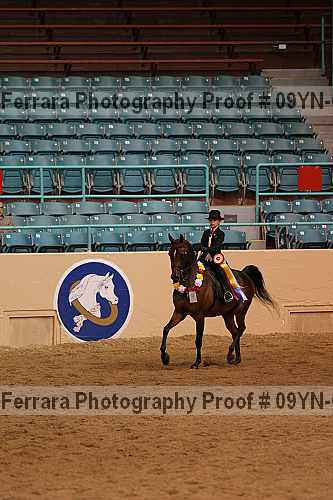 Proof 09yn-04643