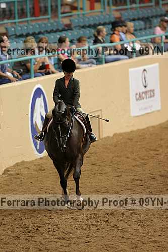 Proof 09yn-04963