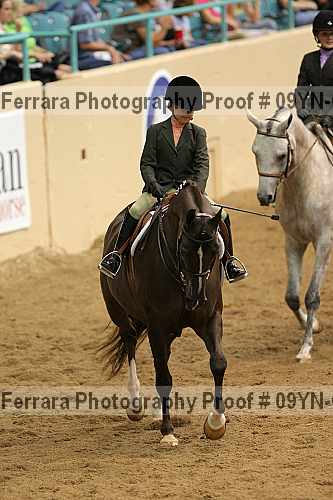 Proof 09yn-04964