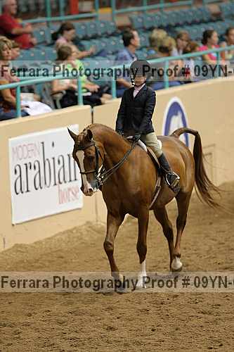 Proof 09yn-04965