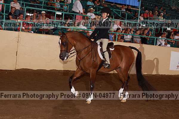 Proof 09yn-04977