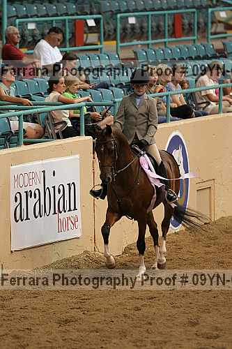 Proof 09yn-04991