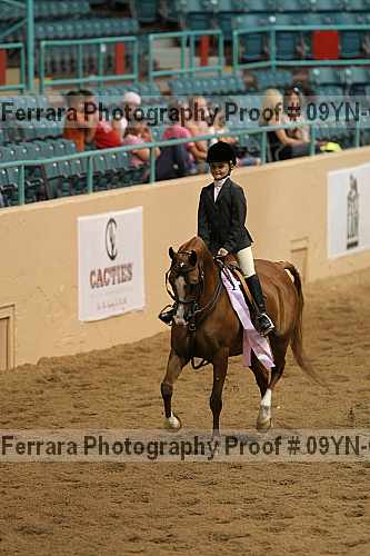 Proof 09yn-04993
