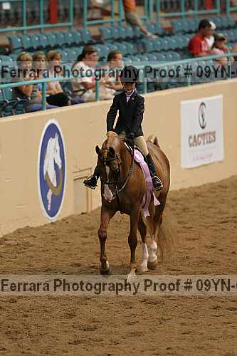 Proof 09yn-04997