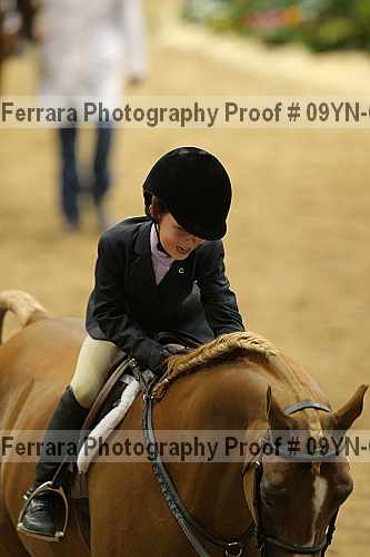 Proof 09yn-05001