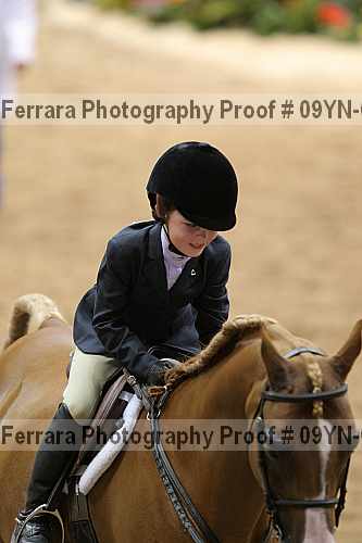 Proof 09yn-05002
