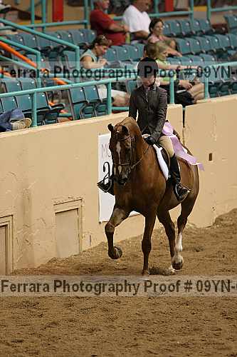 Proof 09yn-05006