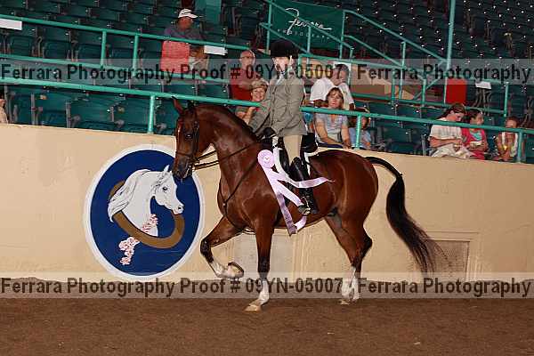 Proof 09yn-05007