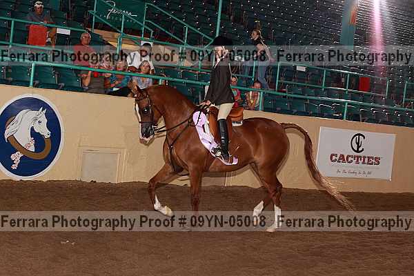 Proof 09yn-05008