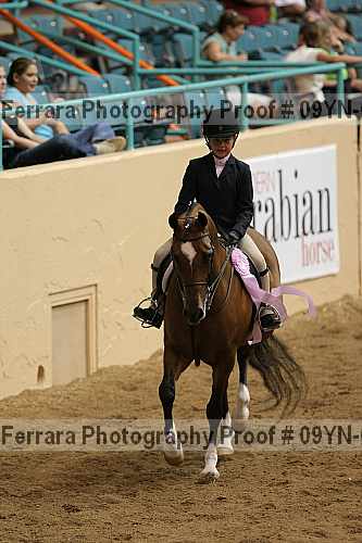 Proof 09yn-05011