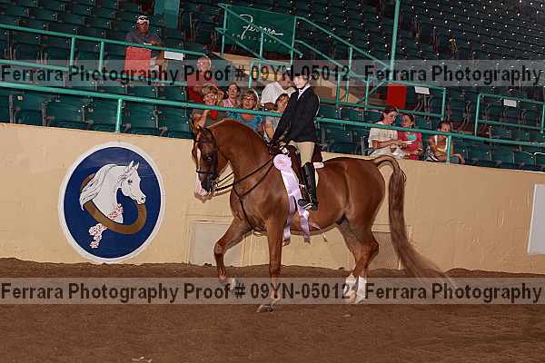 Proof 09yn-05012