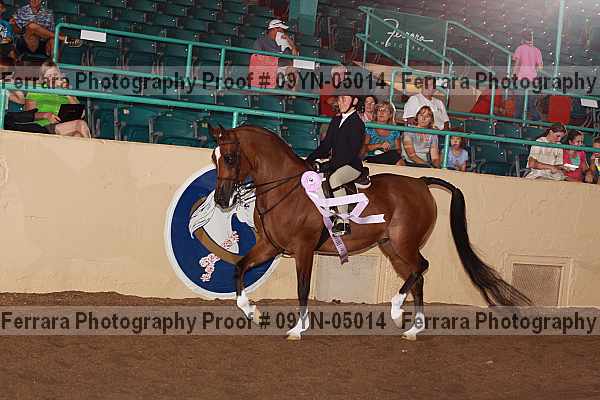 Proof 09yn-05014