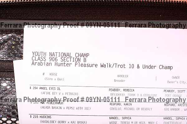 Proof 09yn-05111